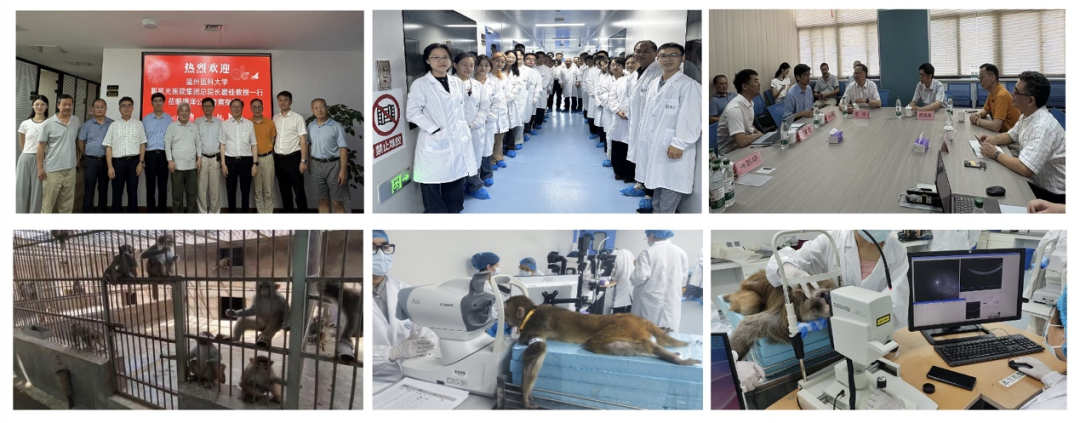 1763027828437771.png 1763027828437771.png