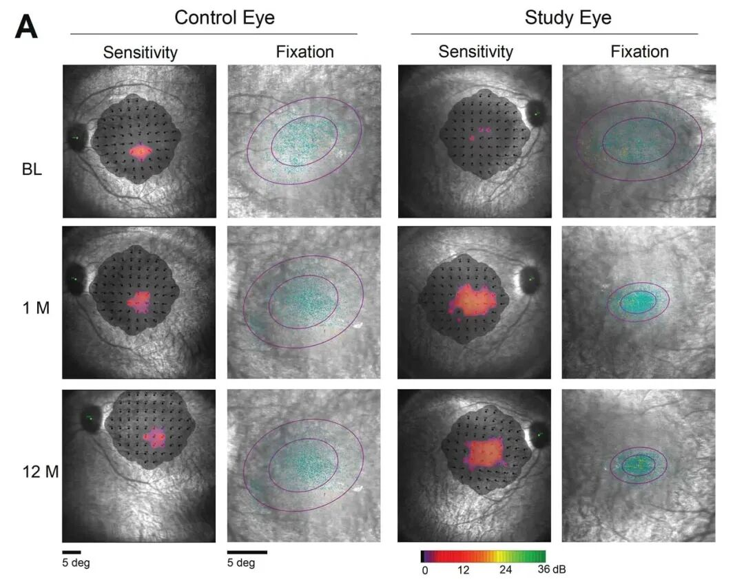 1763459730562811.png 1763459730562811.png