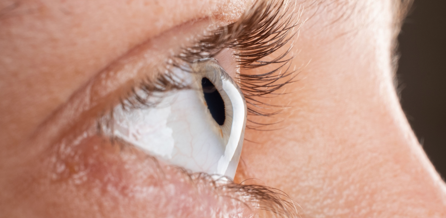 1763542603982462.png 1763542603982462.png