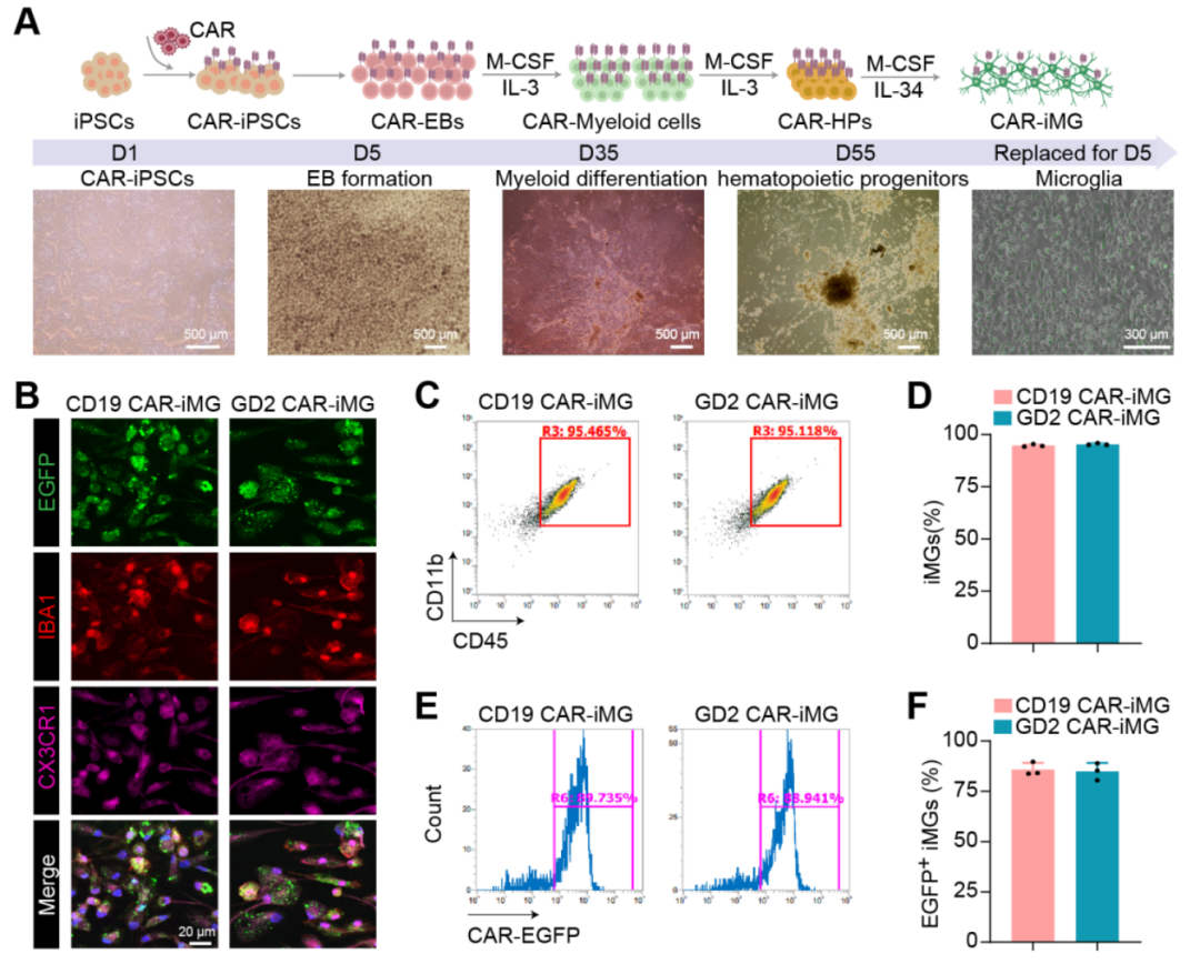 1763545880373873.png 1763545880373873.png