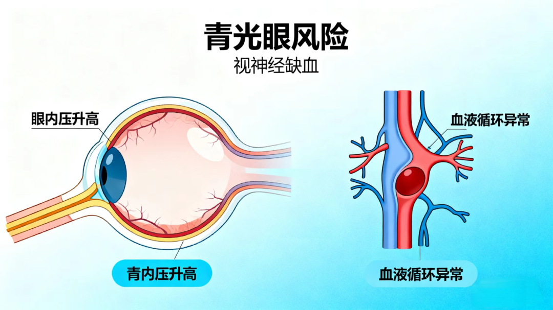 1764830652469406.png 640 (20).png