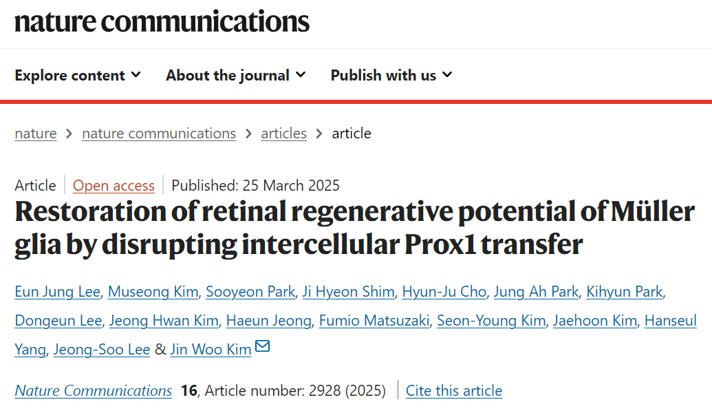 2025年眼科研究十大突破 2025年眼科研究十大突破