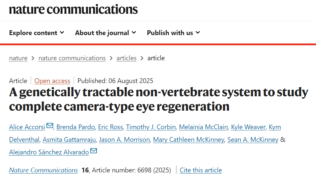 2025年眼科研究十大突破 2025年眼科研究十大突破