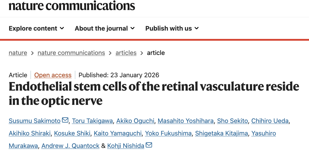 重磅颠覆性发现！视网膜血管内皮干细胞存在于视神经中